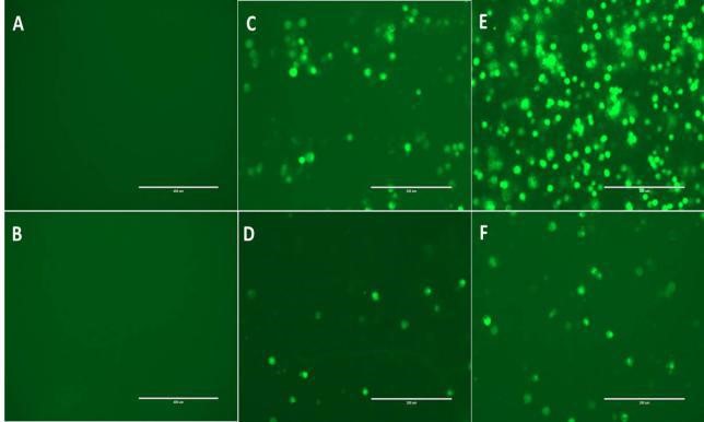 figure3